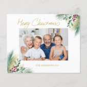 予算金ゴールドの果実フォトクリスマス (正面)