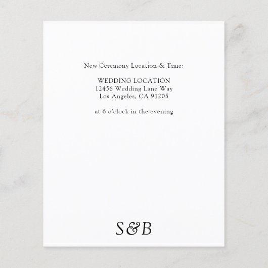 予算黒白の日付変更 チラシ (裏面)