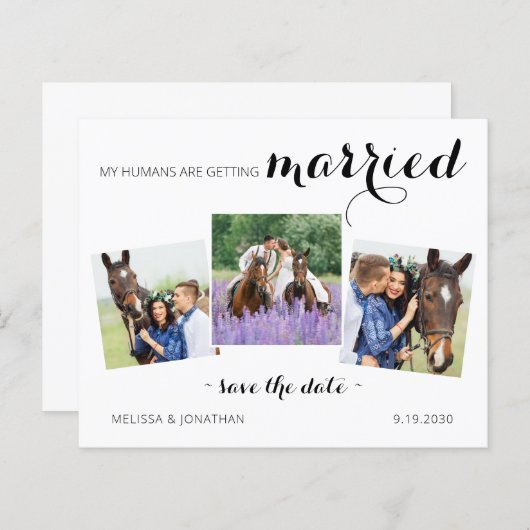 予算3モダン写真馬の保存日付招待状 (正面/裏面)