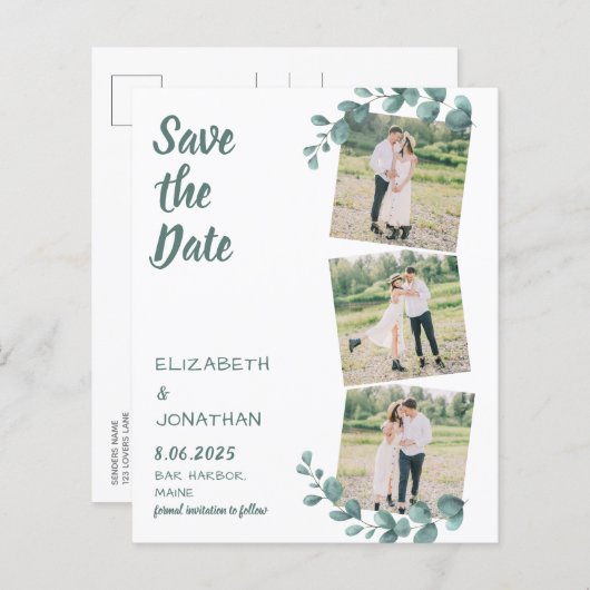 予算3 Photo Eucalyptus Botanical保存日 (正面/裏面)