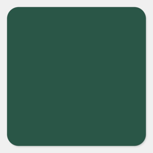 予算 エメラルドグリーンモノクロームテキスト スクエアシール (正面)