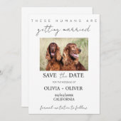 予算、ミニマル、かわいいカスタム犬の写真 セーブザデート (正面/裏面)