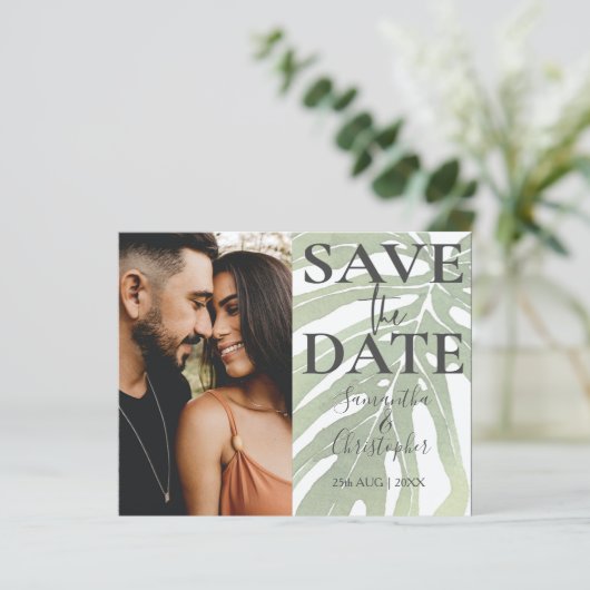 予算 |熱帯雨林の樹齢を結婚保存 (スタンド正面)