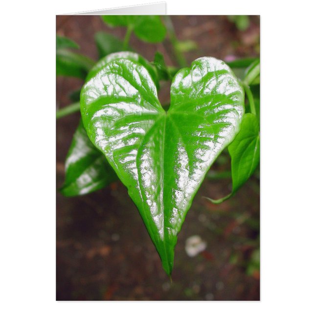 事のハート… (正面)