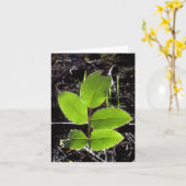 事はより明るいNotecardです カード (黄色い花)