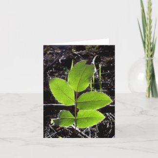 事はより明るいNotecardです カード