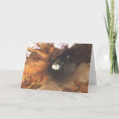 事は堅いです カード (正面)