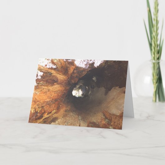 事は堅いです カード (正面)