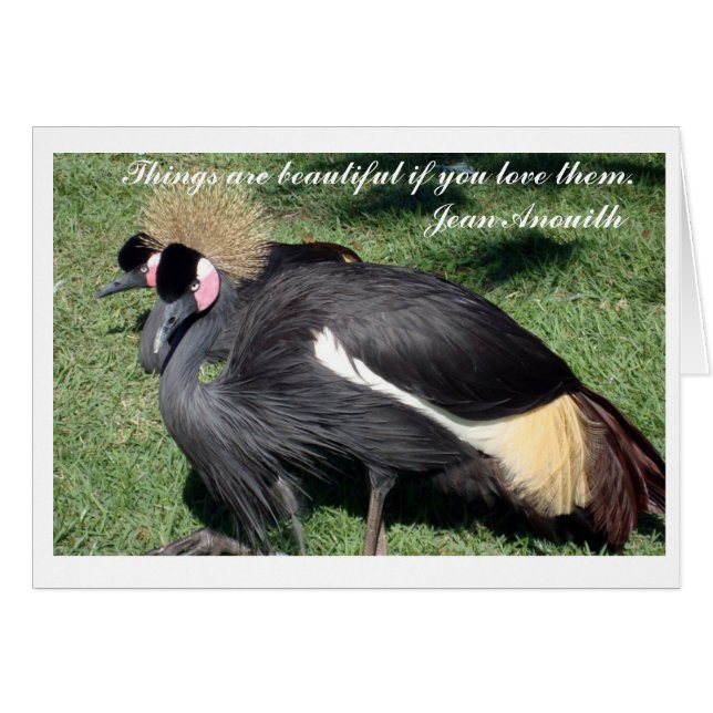 事は美しい…カードです (正面横)