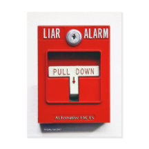 事前にアドレス指定されたドナルドJ.トランプ火トランプ葉書