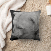 事実のユニークな白くまの写真 クッション (ブランケット)