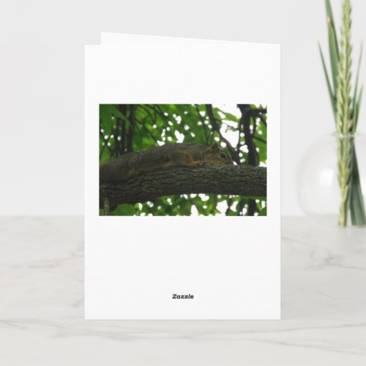 、事常にありませんくだらなくないですがそこにつるして下さい カード (裏面)