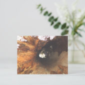 事情が堅い ポストカード (スタンド正面)