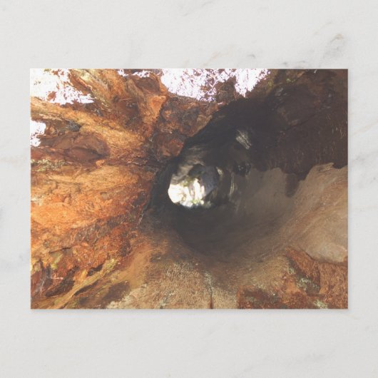 事情が堅い ポストカード (正面)