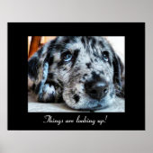 事態は上向いている！ ポスター (正面)