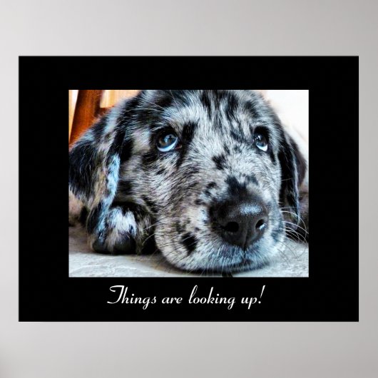 事態は上向いている！ ポスター (正面)