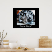 事態は上向いている！ ポスター (キッチン)