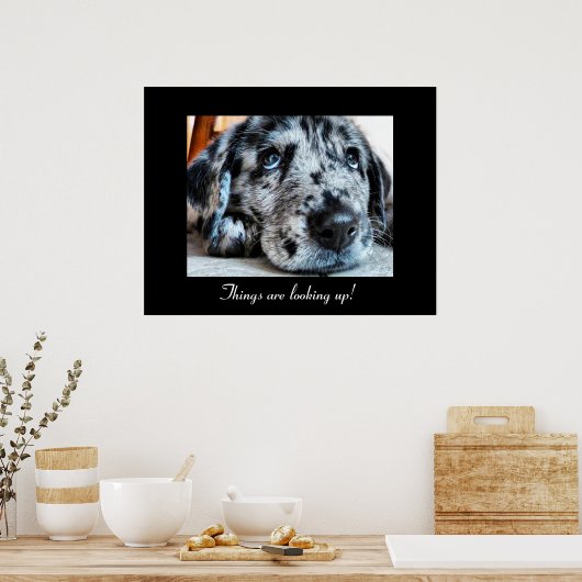 事態は上向いている！ ポスター (キッチン)