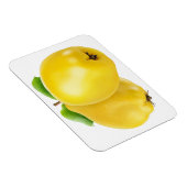 二つのカンスの果実 マグネット (右側)