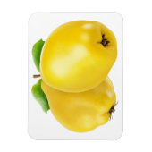 二つのカンスの果実 マグネット (縦)