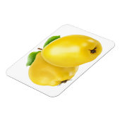 二つのカンスの果実 マグネット (左側)