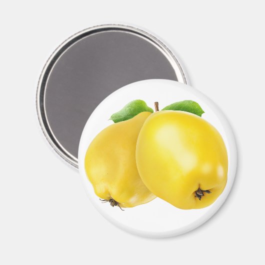 二つのカンスの果実 マグネット (正面/裏面)