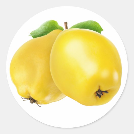 二つのカンスの果実 ラウンドシール (正面)