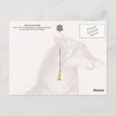 二つのジャングルの本：アキーラ、孤独な狼 ポストカード (裏面)