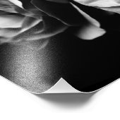 二つのバラ フォトプリント            (角)