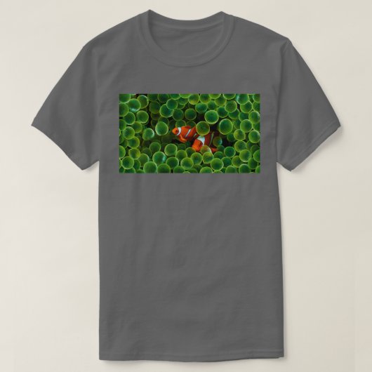 二つのピエロ魚を隠す Tシャツ (デザイン正面)