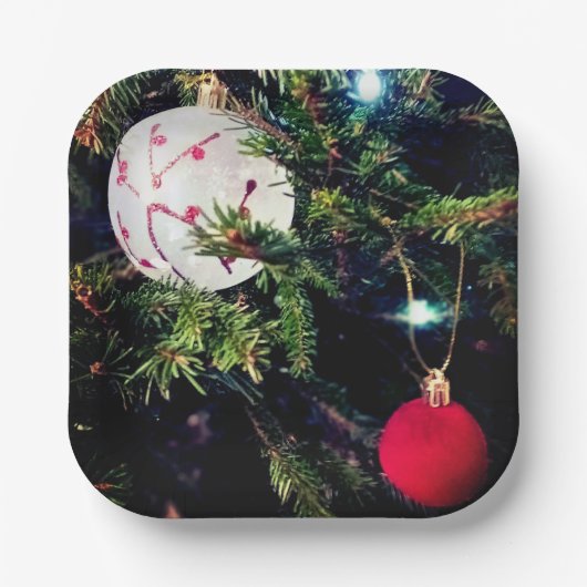 二つのボーブル ペーパープレート (正面)