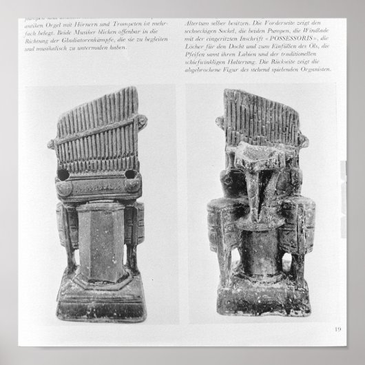 二つの器官 ポスター (正面)