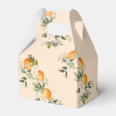 二つの小さなかわいこちゃんツインシトラスの赤ちゃんシャワー フェイバーボックス (裏面サイド)