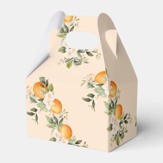 二つの小さなかわいこちゃんツインシトラスの赤ちゃんシャワー フェイバーボックス (裏面サイド)