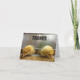 二つの感謝してい頭 サンキューカード