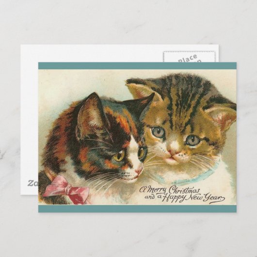 二つの猫ちゃんクリスマス シーズンポストカード (正面/裏面)
