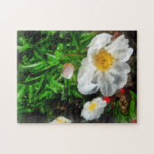 二つの白いケシ ジグソーパズル (横)