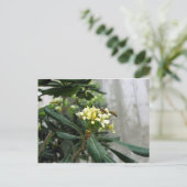 二つの蜂 ポストカード (スタンド正面)