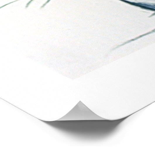 二つの足の勉強 ポスター (角)