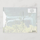 二つの長い滝が流れ落ちる景 ポストカード (裏面)