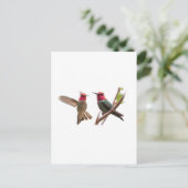 二つの飛んでいる宝石 ポストカード (スタンド正面)