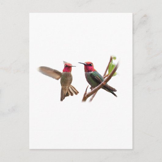 二つの飛んでいる宝石 ポストカード (正面)