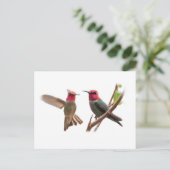 二つの飛んでいる宝石 ポストカード (スタンド正面)