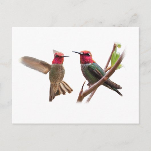 二つの飛んでいる宝石 ポストカード (正面)