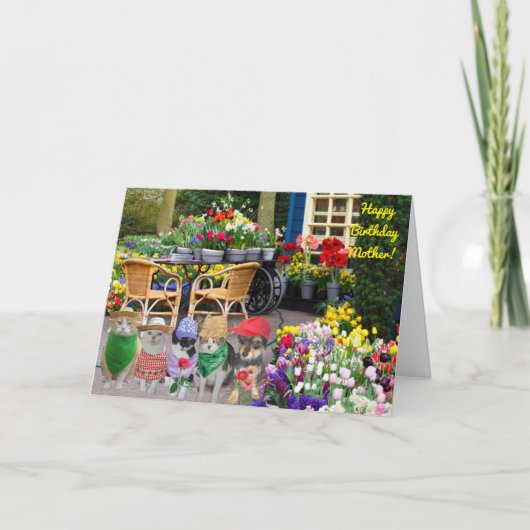 二つ折りグリーティングカード カード (正面)