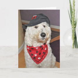 二つ折りグリーティングカード カード