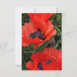 二オレンジオリエンタルポピー ノートカード
