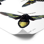 二カ月 ポスター (角)