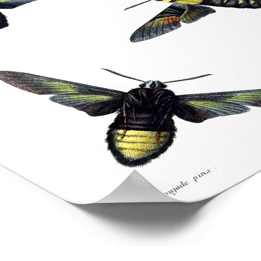 二カ月 ポスター (角)