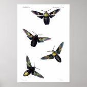 二カ月 ポスター (正面)